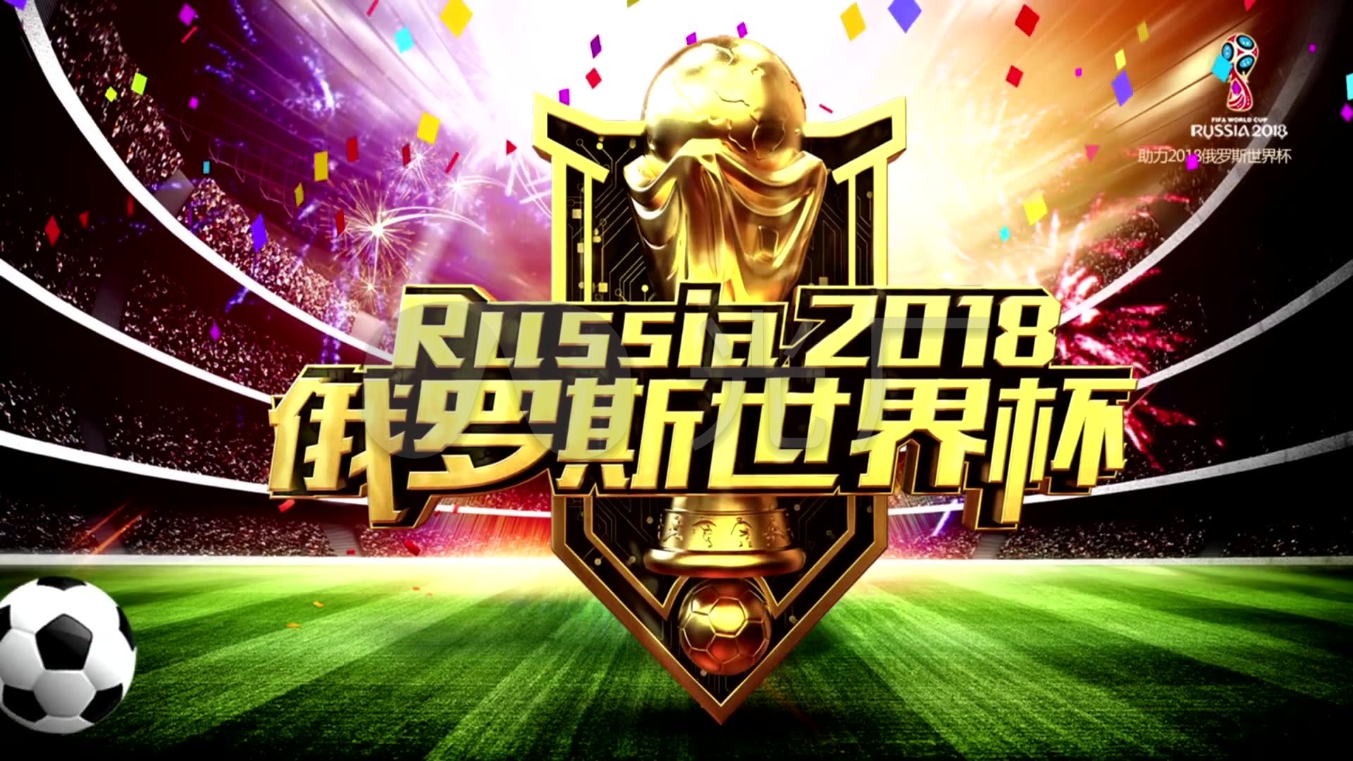 这项签